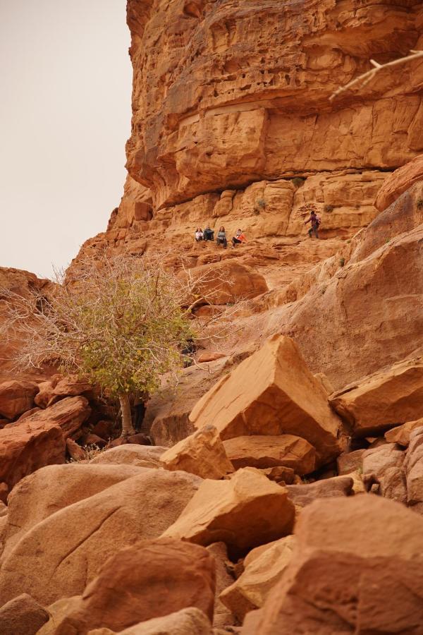 Nomadic life camp Hotel Wadi Rum Exterior foto