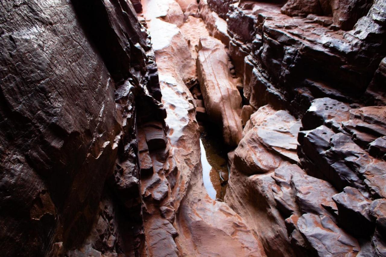Nomadic life camp Hotel Wadi Rum Exterior foto