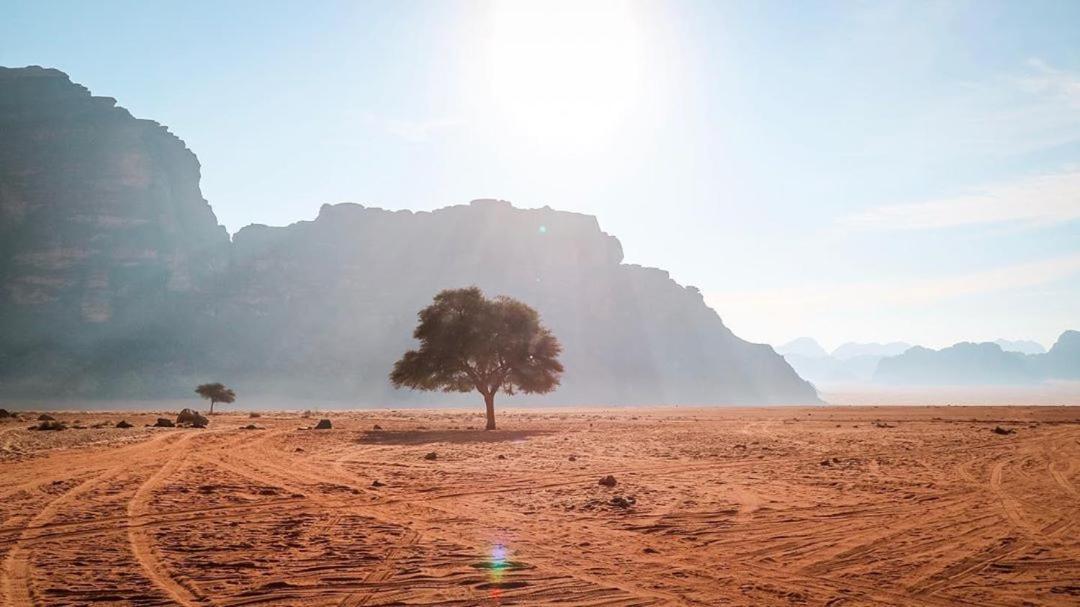 Nomadic life camp Hotel Wadi Rum Exterior foto
